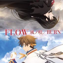 BURN - FLOW