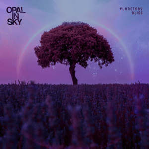 Planetary Bliss - Opal In Sky