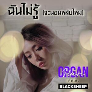 ฉันไม่รู้ (จะนอนหลับไหม) (I don’t know (Will you sleep)) - Organ Nan (Ft. Black Sheep)