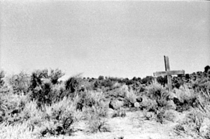 Bury Me Not on the Lone Prairie - Traditional Transcriptions