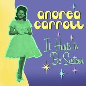 The Boy I Used To Know - Andrea Carroll