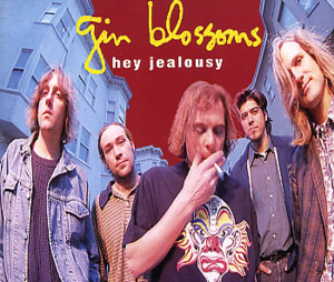 Hey Jealousy - Gin Blossoms