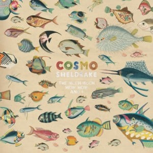 Axolotl - Cosmo Sheldrake