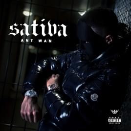 Sativa - Ant Wan