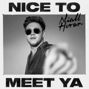 Nice to Meet Ya - Niall Horan