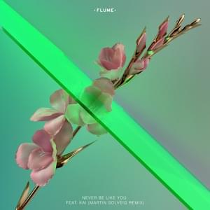 Never Be Like You (Martin Solveig Remix) - Flume (Ft. ​kai)