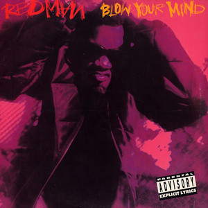 Blow Your Mind (Remix) - Redman