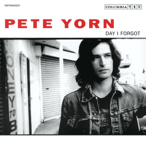 Turn of the Century - Pete Yorn