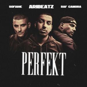 Perfekt - AriBeatz & RAF Camora (Ft. Sofiane)