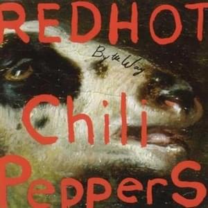 Search And Destroy (Live) - Red Hot Chili Peppers