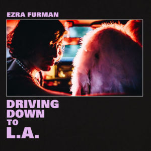 Driving Down to L.A. - Ezra Furman