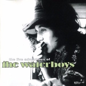 The Thrill Is Gone/And the Healing Has Begun - The Waterboys