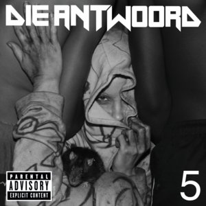 Enter the Ninja (DJ Fishsticks remix) - Die Antwoord