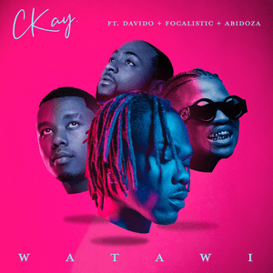 WATAWI - CKay (Ft. Abidoza, Davido & Focalistic)