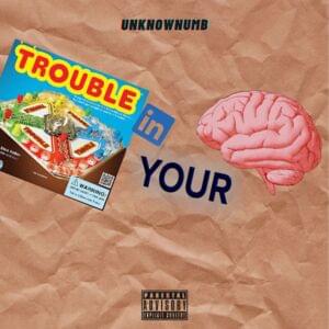 TroubleInYourMind - UNKNOWNUMB