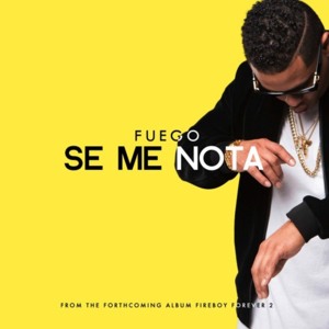 Se Te Nota - Fuego