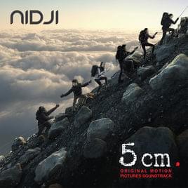 5 cm - Nidji