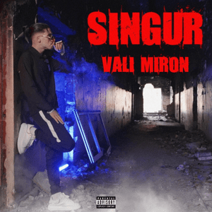 Singur - Vali Miron