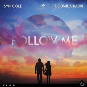 Follow Me - Syn Cole (Ft. Joshua Radin)