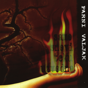 Kaži ja! - Parni Valjak