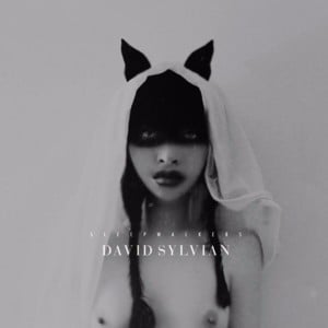 Exit/Delete - David Sylvian (Ft. 高木正勝 (Takagi Masakatsu))