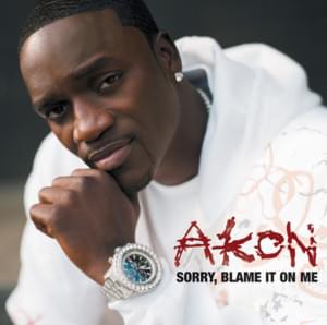 Sorry, Blame It On Me - Akon