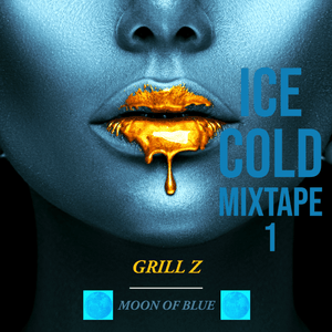 Falling For You (Interlude) - Grill Z