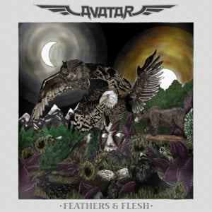 Raven Wine - Avatar