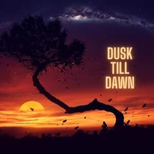 Dusk Till Dawn (Cover) - MicroDragon (Ft. Julian Albin)