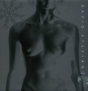 Pop Song - David Sylvian