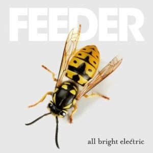 Eyes To The Sky - Feeder