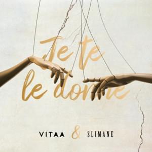 Je te le donne - Vitaa (Ft. Slimane)