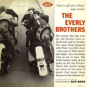 Should We Tell Him - ​The Everly Brothers