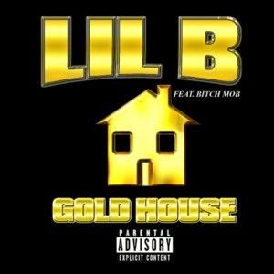 Gangstas Smile - Lil B