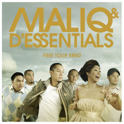 Kau Yang Bisa - Maliq & D'Essentials