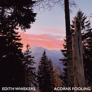 Acorns Fooling - Edith Whiskers