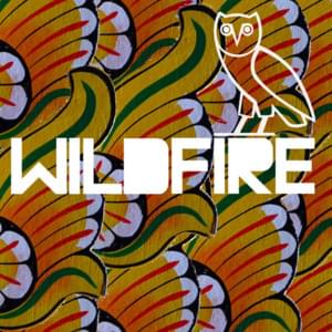 Wildfire (OVO Remix) - SBTRKT (Ft. Drake & Little Dragon)