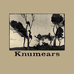 ​threehundredsixtyfive days in a week - Knumears