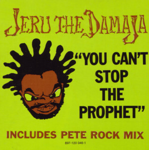 You Can’t Stop the Prophet (Instrumental) - Jeru the Damaja