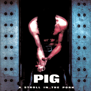 Infinite Power - Pig