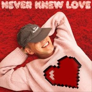 Never Knew Love - Riton & Belters Only (Ft. Enisa)