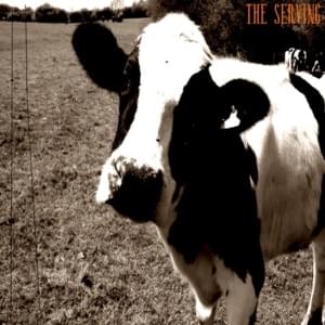 ‌the serving - Lil Ugly Mane