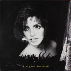 So Sorry, I Said - Liza Minnelli