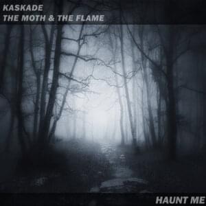 Haunt Me - Kaskade (Ft. The Moth & The Flame)