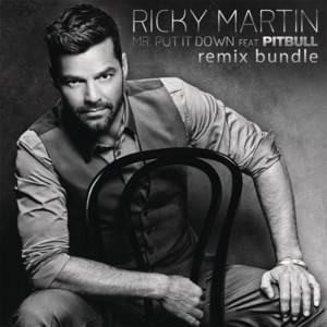 Mr. Put It Down (DJ White Shadow Remix) - Ricky Martin (Ft. Pitbull)