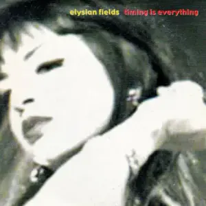 Timing Is Everything - Elysian Fields