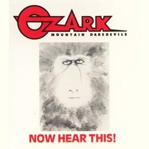 There Oughta Be A Law - The Ozark Mountain Daredevils