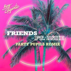 Friends (Party Pupils Remix) - Big Gigantic (Ft. Ashe)