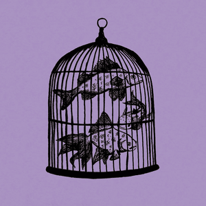 Rule #21 - Momento Mori - Fish in a Birdcage