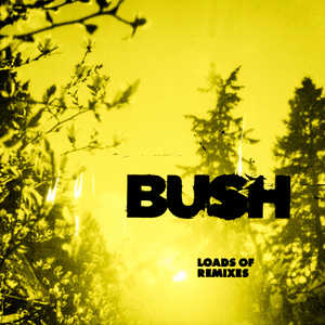 Swallowed (GLU Remix) - Bush